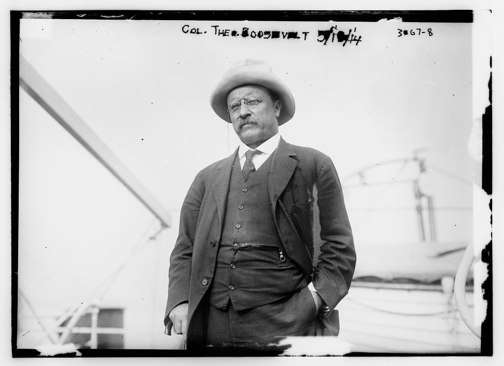 Photo of President Theodore Roosevelt, the original “trust-buster.”