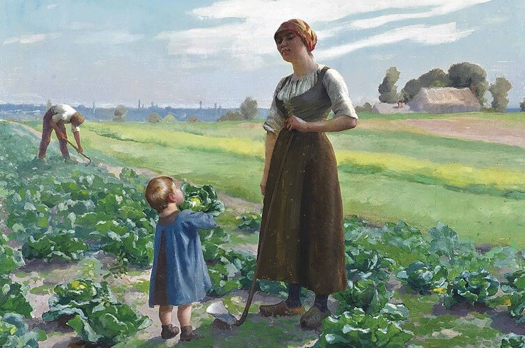 Aimé Perret, The lettuce patch