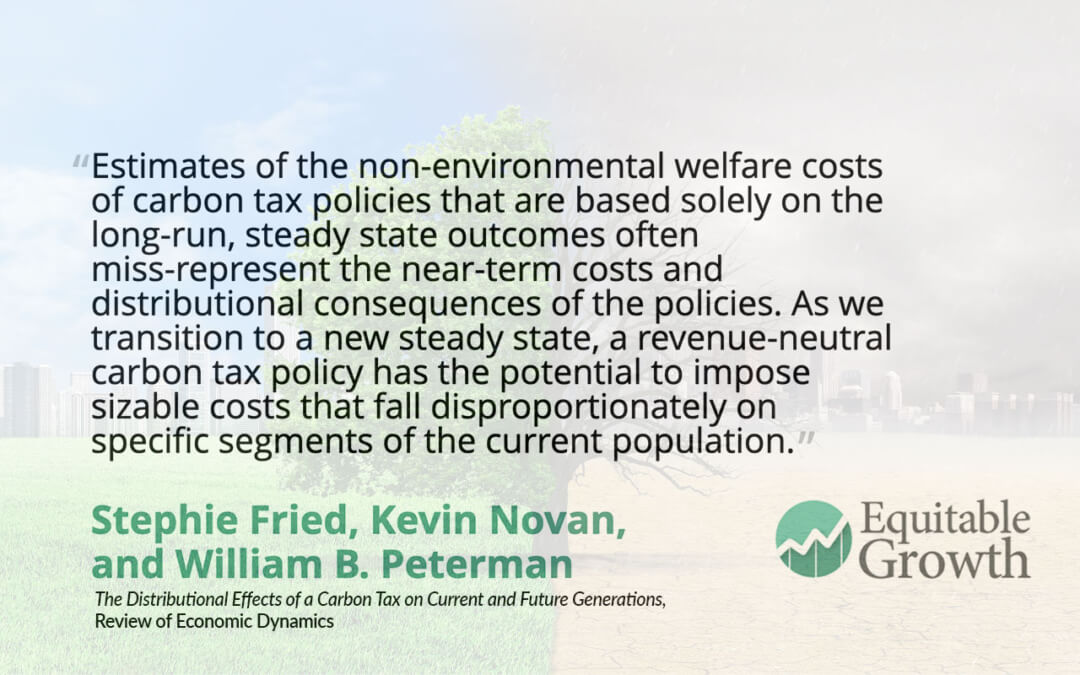 Quote from Stephie Fried and co-authors on carbon tax policies