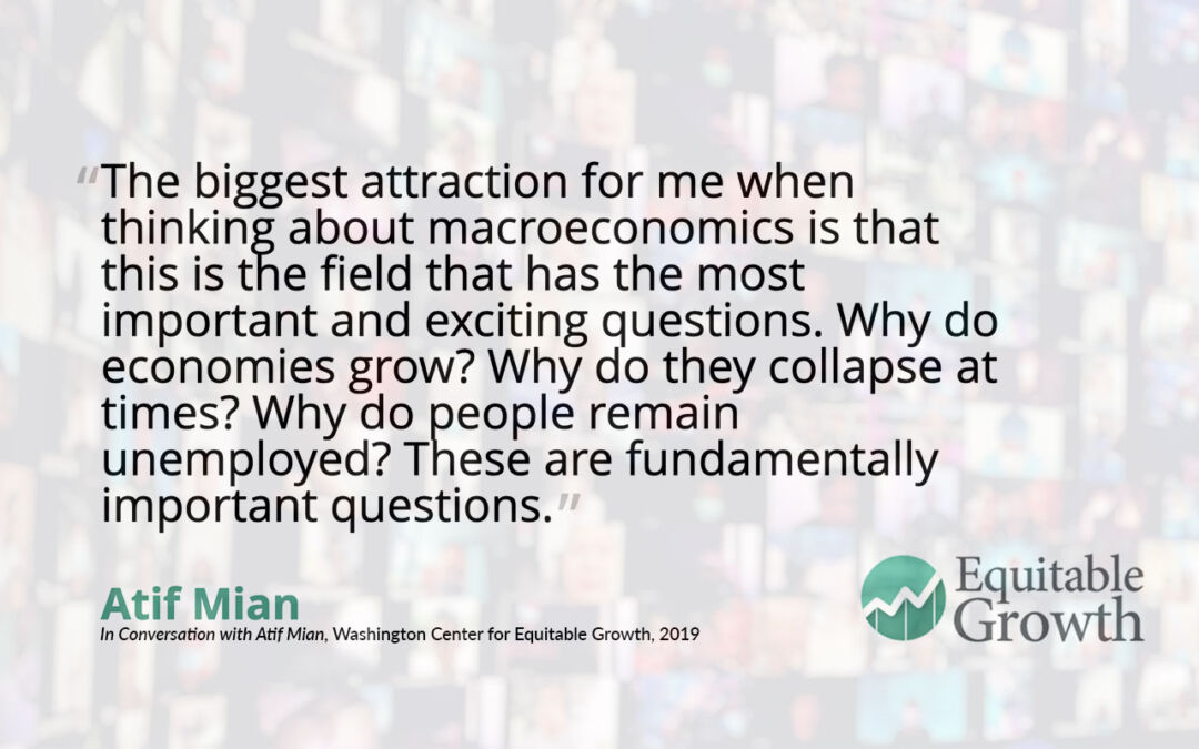 Quote from Atif Mian on macroeconomics