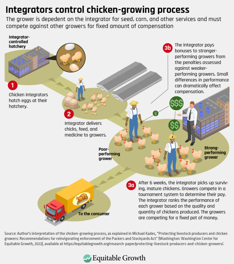 Protecting livestock producers and chicken growers Equitable Growth