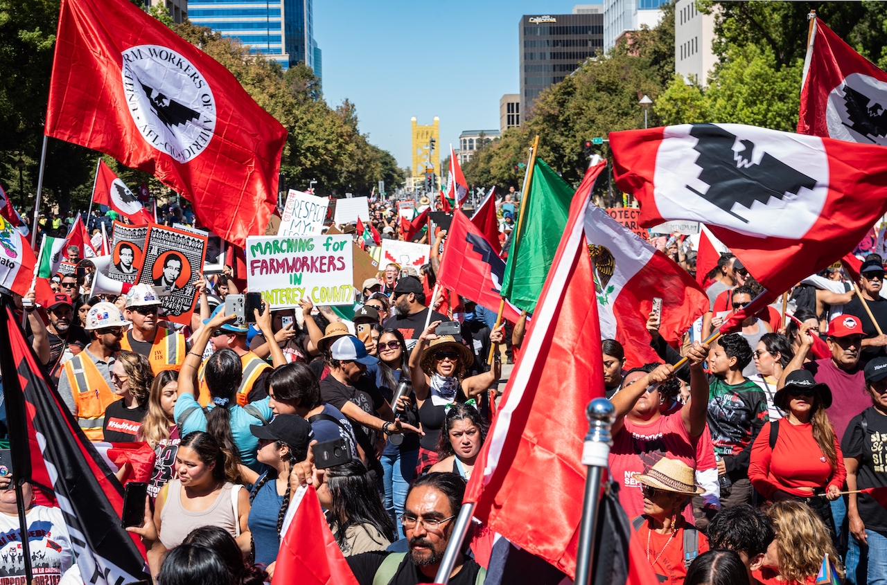 A Brief Look at Brazilian Social Movements - Center for Economic and Policy  Research