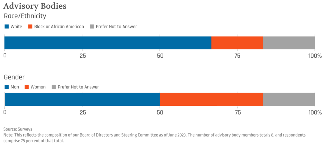 Advisory bodies race ethnicity gender